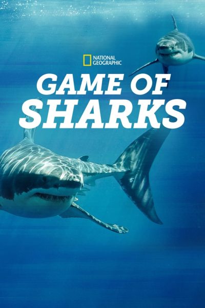 Game of Sharks-poster-2022-1717589891
