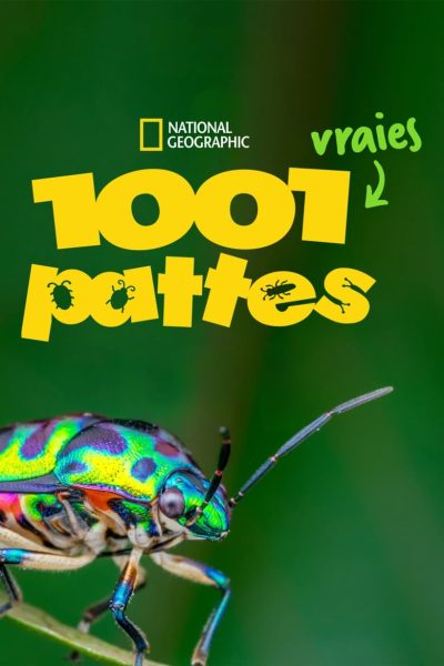 1001 vraies pattes-poster–1736942279