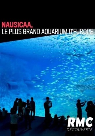 Nausicaa, le plus grand aquarium d’Europe (2019)-poster-2019-1736879487