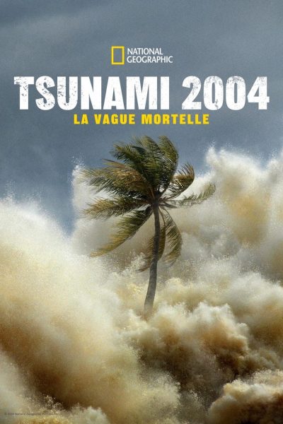 Tsunami 2004 : La Vague Mortelle-poster–1736942298