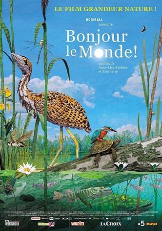 Bonjour le monde !