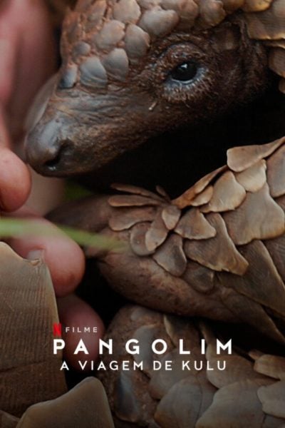 Pangolin : Chemins de vie-poster-2025-1745547626