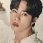 진