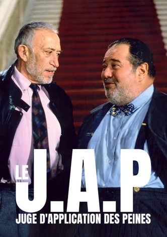 le-jap-juge-dapplication-des-peines