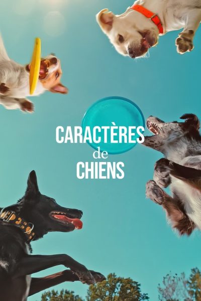 Caractères de chiens-poster-2024-1747848629