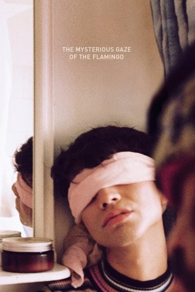 Le Mystérieux regard du flamant rose-poster-2025-1747650584