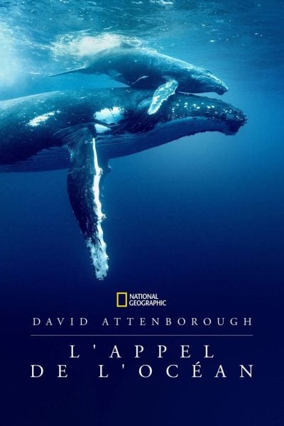 David Attenborough : L’Appel de l’Océan-poster-2025-1751147125