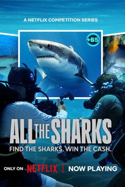 All the Sharks : Trouvez-les tous !-poster-2025-1751855177