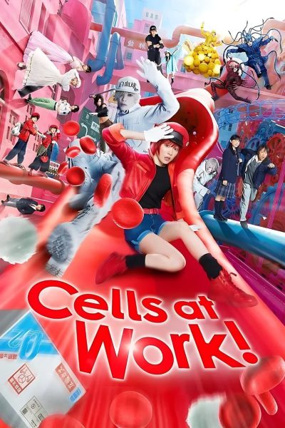 Cells at work !-poster-2024-1751670552