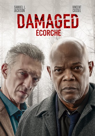 Damaged-poster-2024-1752568434