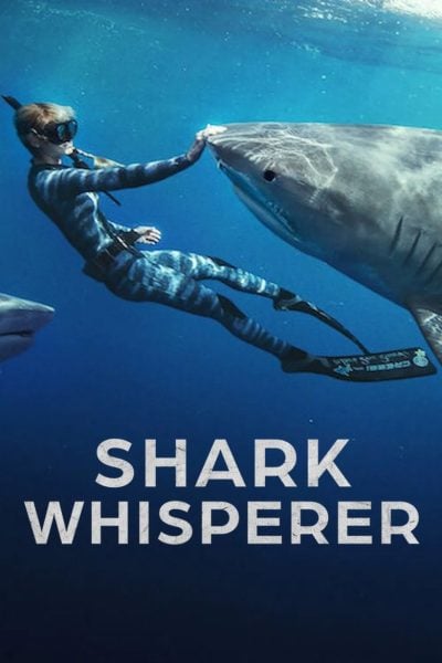 En paix avec les requins-poster-2025-1751452104