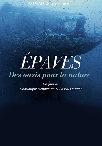 Épaves – Des oasis pour la nature-poster-2025-1751978236