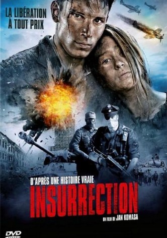 Insurrection-poster-2014-1753369664