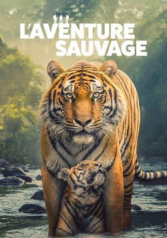 L’Aventure sauvage-poster-2025-1752568024