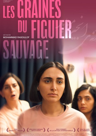 Les Graines du figuier sauvage-poster-2024-1752567160