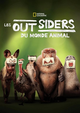 Les outsiders du monde animal-poster-2025-1752567564