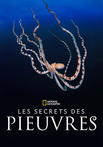 Les secrets des pieuvres-poster-2024-1753858467