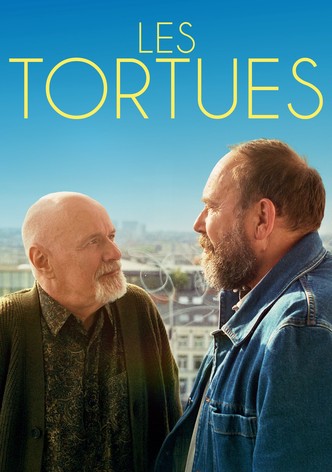 Les tortues-poster-2024-1753795873