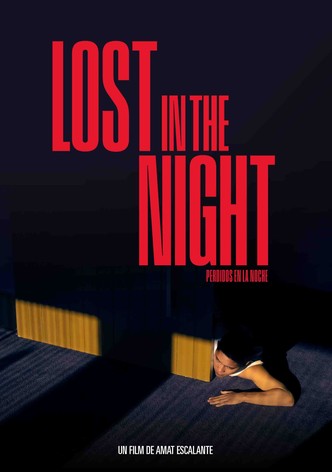 Lost In The Night-poster-2023-1753952896