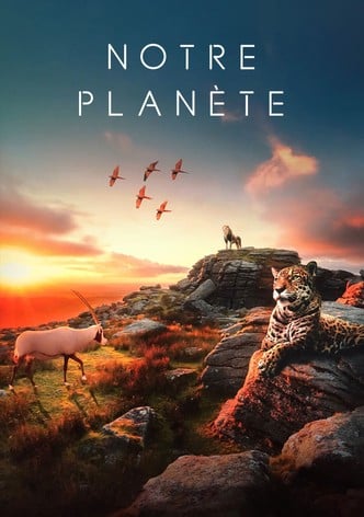 Notre Planète-poster-2019-1752567992