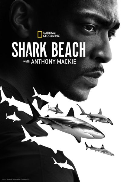 Shark Beach with Anthony Mackie-poster-2024-1751961000
