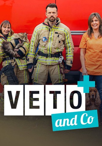 Véto & Co-poster-2017-1751759434