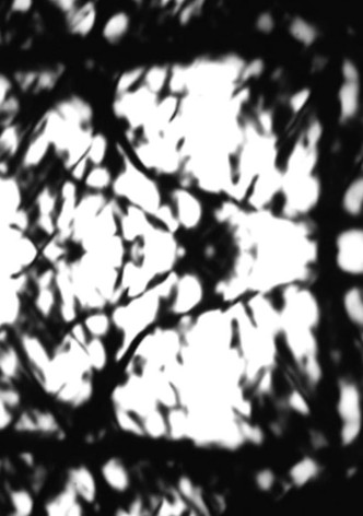 Black and White Trypps Number Two-poster-2006-1755075833