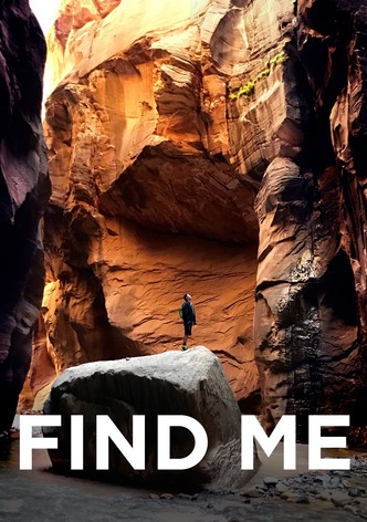 Find Me-poster-2019-1756082287