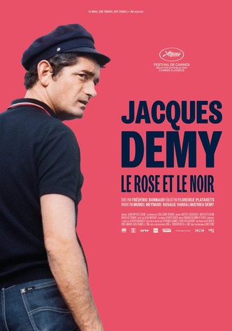 Jacques Demy, le rose et le noir-poster-2024-1755480068
