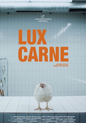 LUX CARNE-poster-2024-1754786114