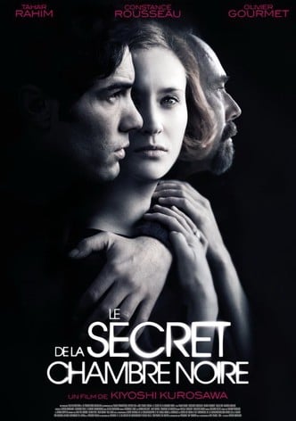 Le Secret de la chambre noire-poster-2016-1756430723