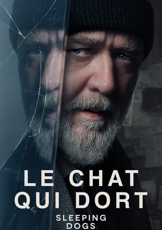 Le chat qui dort-poster-2024-1755220118