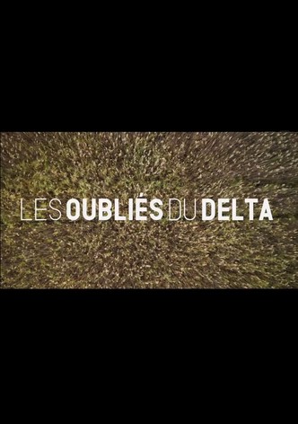 Les oubliés du Delta-poster-2024-1756270871