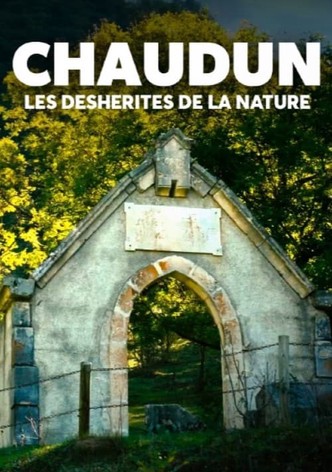 Chaudun, les déshérités de la nature-poster-2024-1758942279