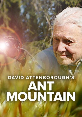 David Attenborough’s Ant Mountain-poster-2017-1757292049