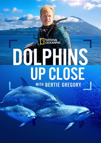 Dolphins Up Close with Bertie Gregory-poster-2025-1758517390
