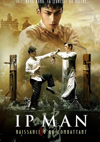 Ip Man : Naissance d’un combattant-poster-2020-1757653320