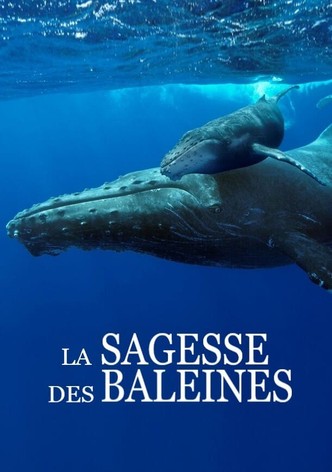 La sagesse des baleines-poster-2018-1758510687