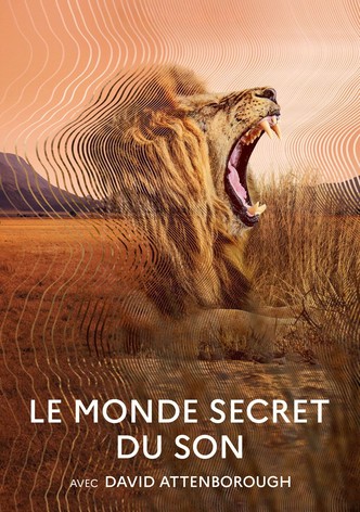 Secret World of Sound with David Attenborough-poster-2024-1757036648