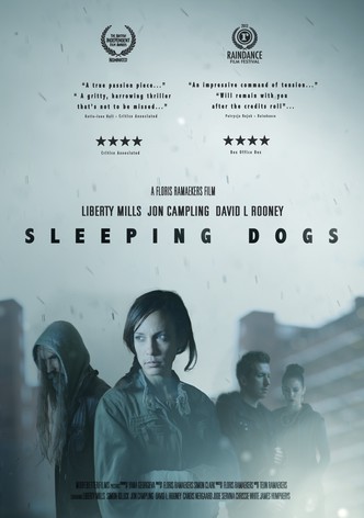 Sleeping Dogs-poster-2013-1756883877