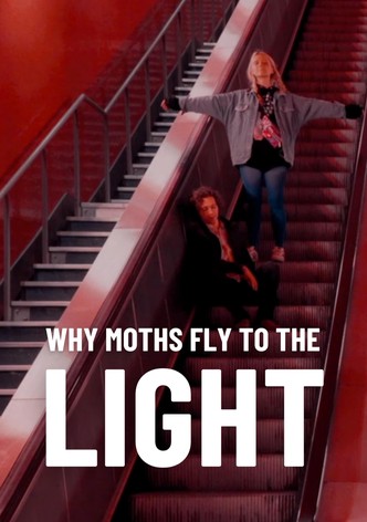 Why moths fly to the light?-poster-2020-1759024942