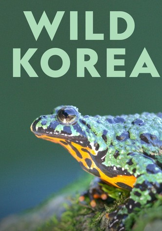 Wild Korea-poster-2019-1757292045
