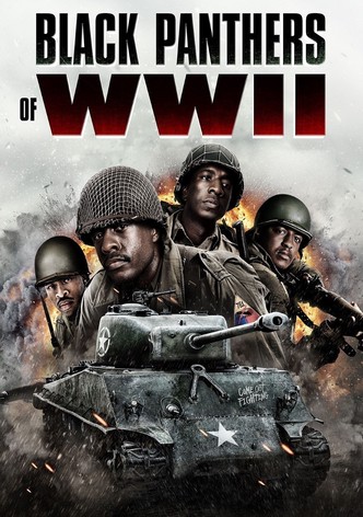 Black Panthers of WWII-poster-2025-1761180558