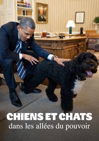 Chiens et chats dans les allées du pouvoir-poster-2024-1761532237