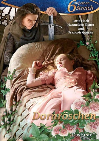 La Belle au Bois Dormant-poster-2009-1761788963