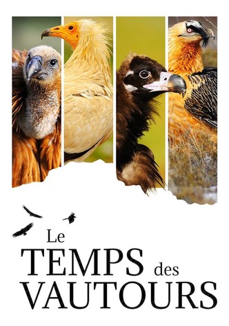 Le Temps des vautours-poster-1967-1761180563