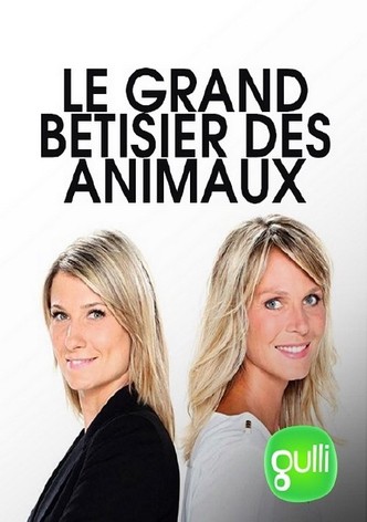 Le grand bêtisier des animaux-poster-2013-1761180573
