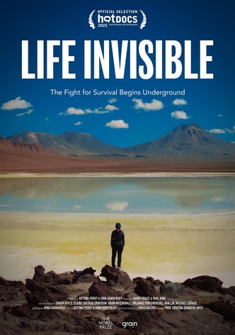 Life Invisible-poster-2025-1760000791