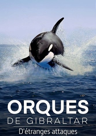 Orques de Gibraltar : D’étranges attaques-poster-2024-1760318815