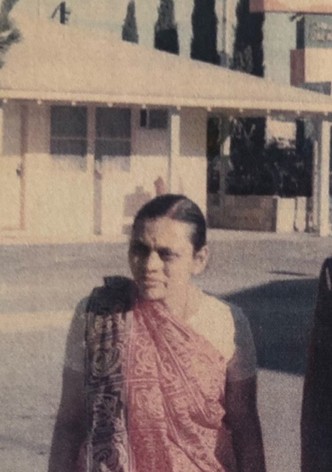 The Patel Motel Story-poster-2025-1761878206